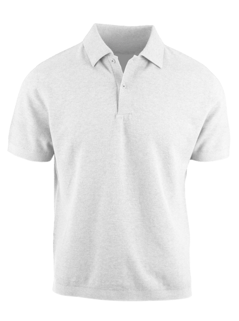 The Hybrid Polo