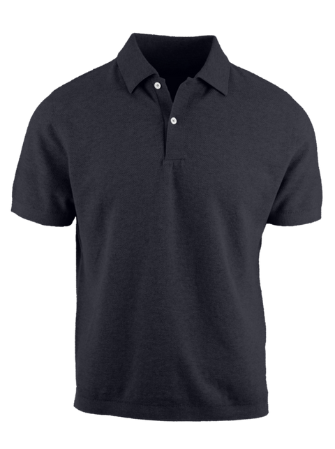 The Hybrid Polo